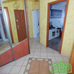 Oferta galeria zdjec