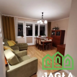 Oferta galeria zdjec