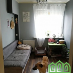 Oferta galeria zdjec