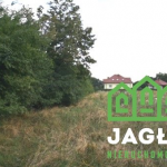 Oferta galeria zdjec