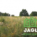 Oferta galeria zdjec