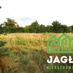 Oferta galeria zdjec