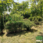 Oferta galeria zdjec