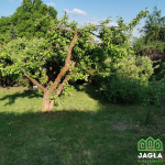 Oferta galeria zdjec