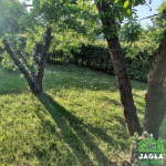 Oferta galeria zdjec