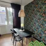 Oferta galeria zdjec