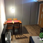Oferta galeria zdjec