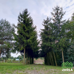 Oferta galeria zdjec