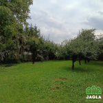 Oferta galeria zdjec