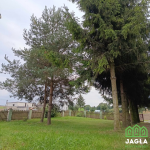 Oferta galeria zdjec