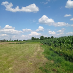 Oferta galeria zdjec