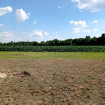 Oferta galeria zdjec