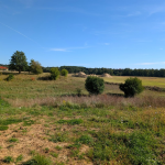 Oferta galeria zdjec