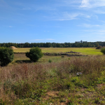 Oferta galeria zdjec