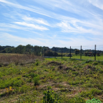 Oferta galeria zdjec