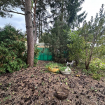 Oferta galeria zdjec