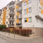 Oferta galeria zdjec