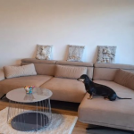 Oferta galeria zdjec