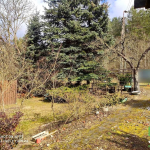 Oferta galeria zdjec