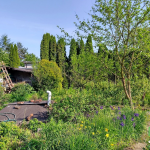 Oferta galeria zdjec