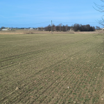 Oferta galeria zdjec