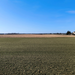 Oferta galeria zdjec