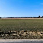 Oferta galeria zdjec