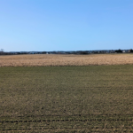 Oferta galeria zdjec