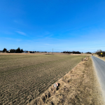 Oferta galeria zdjec