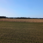 Oferta galeria zdjec