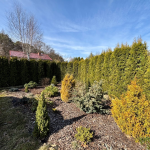 Oferta galeria zdjec