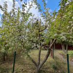 Oferta galeria zdjec