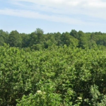 Oferta galeria zdjec