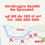 Oferta galeria zdjec