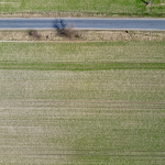 Oferta galeria zdjec