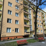 Oferta galeria zdjec