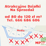 Oferta galeria zdjec