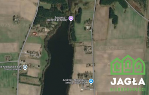 Dzialka Świekatowo - Zalesie Królewskie 