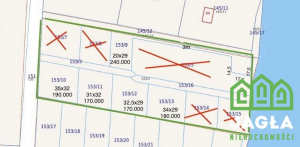 Dzialka Świekatowo - Zalesie Królewskie 