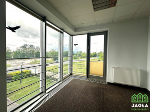 Biurowiec Nowa Wieś Wielka - Brzoza 