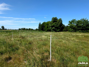 Dzialka Białe Błota - Przyłęki 