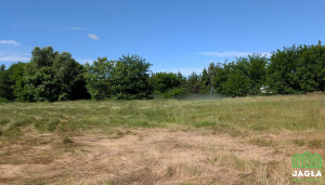 Dzialka Białe Błota - Przyłęki 