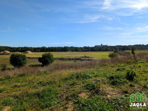 Dzialka Koronowo - Przyrzecze 