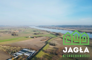 Dzialka Świecie (gm) - Gruczno 