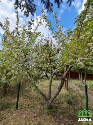 Dzialka Szubin (gw) - Żurczyn 