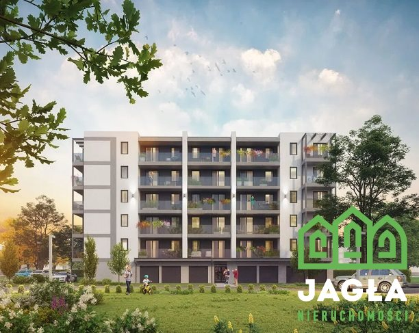Oferta galeria zdjec
