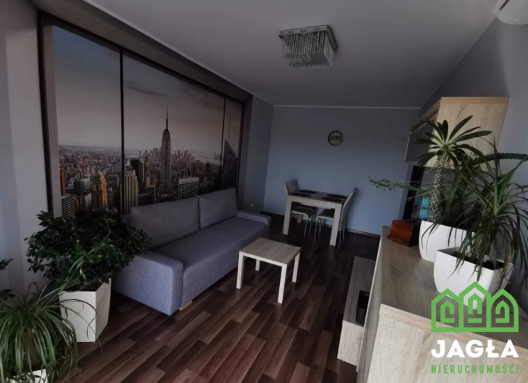 Oferta galeria zdjec
