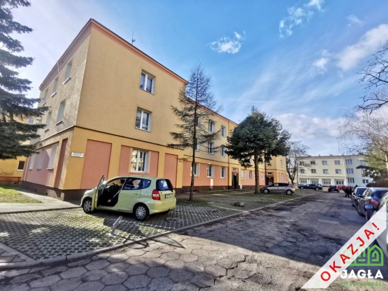 Oferta galeria zdjec