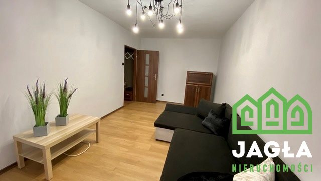 Oferta galeria zdjec