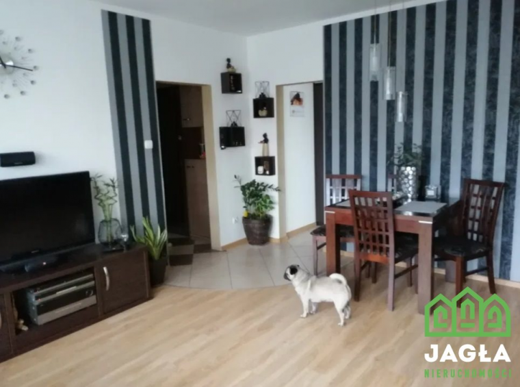 Oferta galeria zdjec